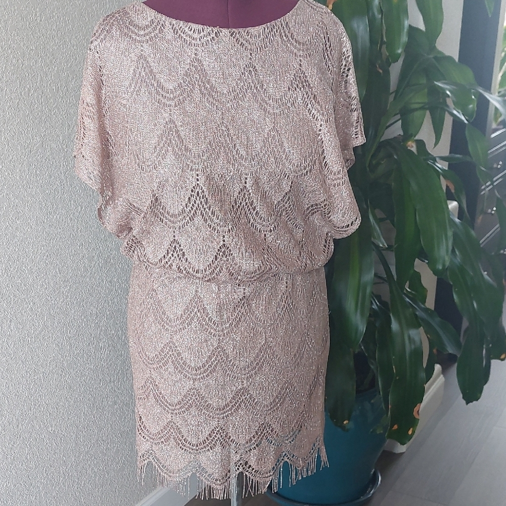 Elegant Lace Dress